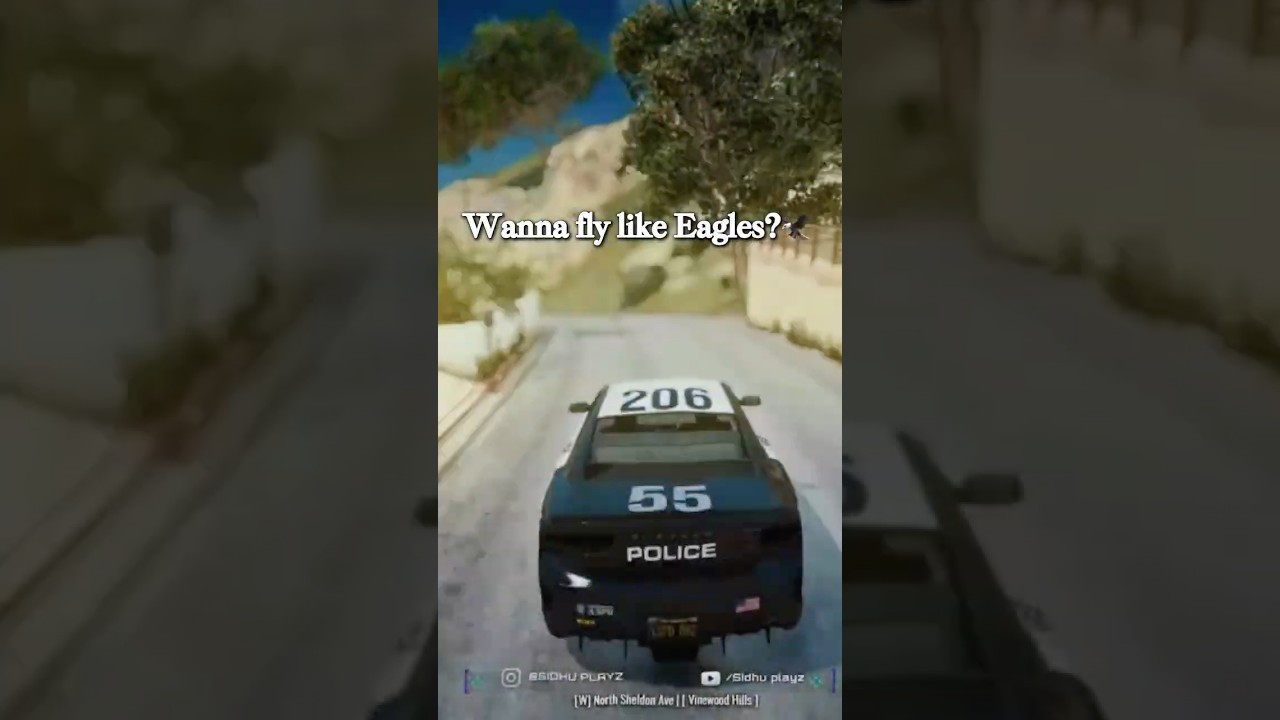Sartaj " flying car" Singh #gta #shortsfeed #shorts #gta5 #gtarp #shortsviral #gta5rp #gta #gtarp