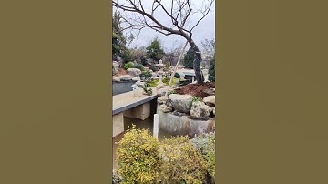 Khu Vườn Khô Nhật Bản: Nghệ Thuật Tạo Nên Cảnh Sắc Từ Những Viên Đá #sanvuon #canhquanasia