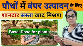 Best fertilizers for plants to increase production | fertilizers for pomegranate plant | Anita Singh