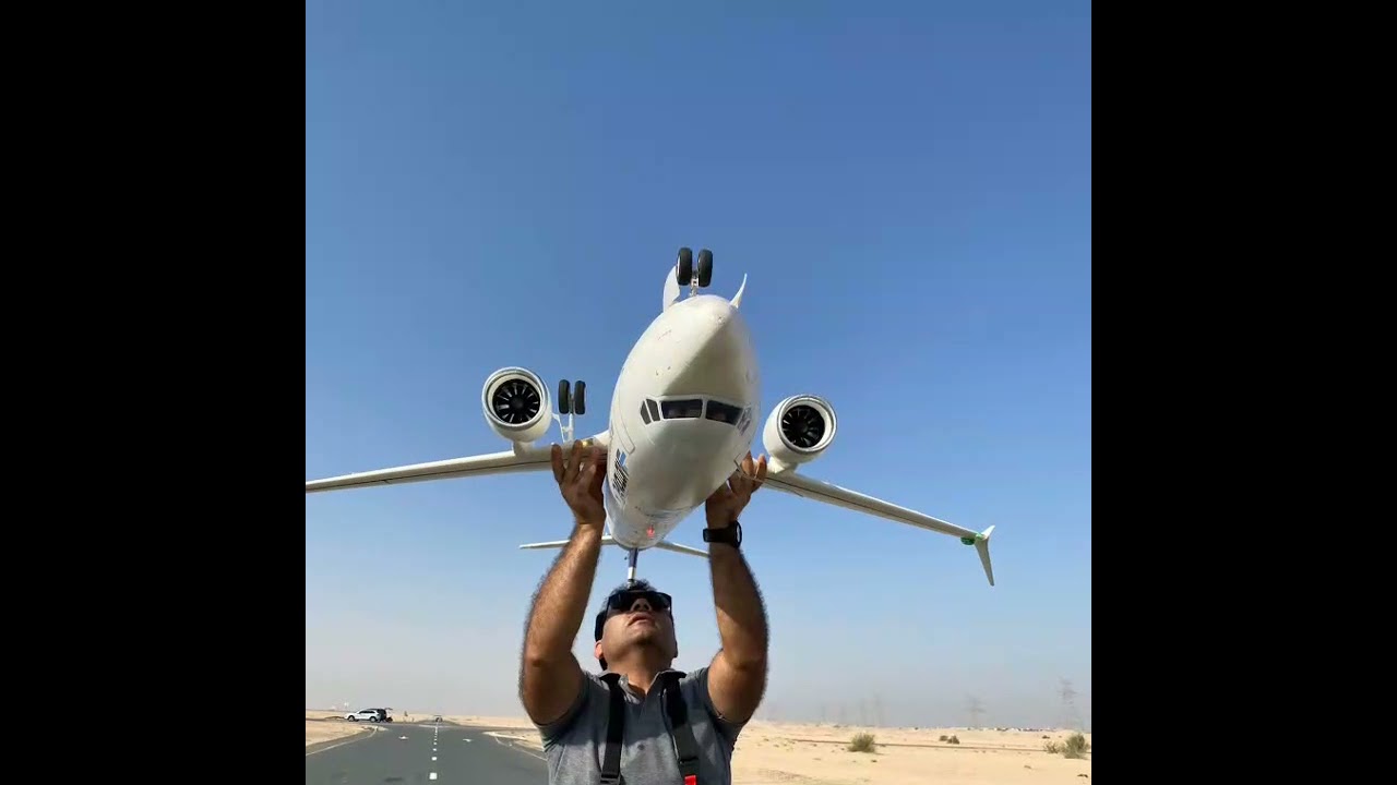 Freewing Airliner 737 Max Flight high alpha