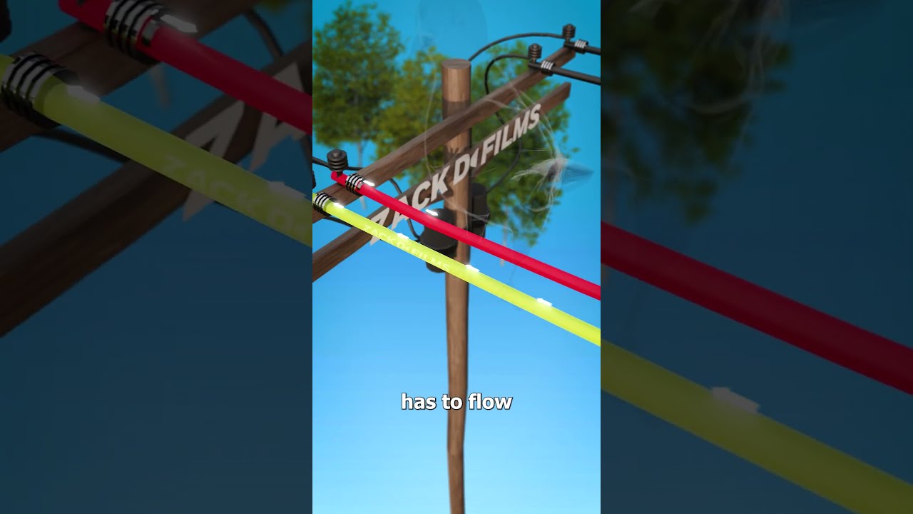 How Birds Avoid Electrocution 