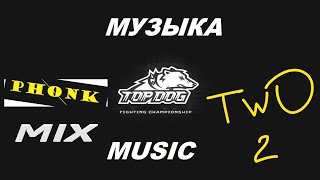 TOP DOG PHONK MIX 2 / BAREKNUCKLE KNOCKOUTS \ TOP DOG MUSIC | КРУТАЯ МУЗЫКА ТОП ДОГ / ФОНК МУЗЫКА