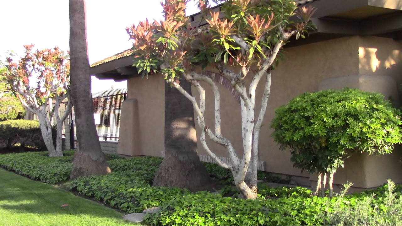 Bishop Place Townhomes Westminster - Real Estate For... - youtube