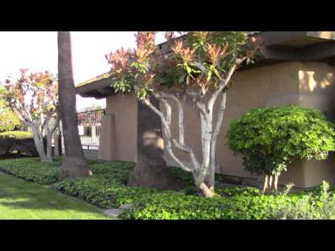 Video Bishop Place Townhomes Westminster - Real Estate For... - youtube