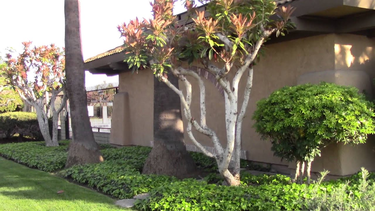 Place Townhomes Westminster Real Estate For Sale YouTube