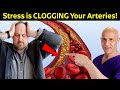 Stress: The Silent Artery Clogger Despite Healthy Eating! Dr. Mandell