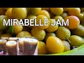 HOW TO MAKE MIRABELLE PLUM JAM /MARMALADE/HOMEMADE  (2)