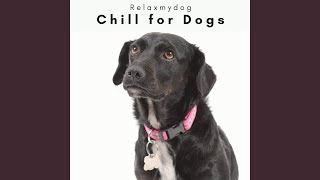 Soft Songs for Cute Dog screenshot 5