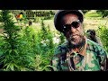 Black Uhuru - Chalice [Official Video 2018]