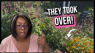 My Meadow Garden Got TOO Crowded! | A Fall Garden Reset Was Needed