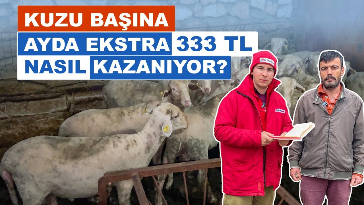 Kuzu Başına Ayda Ekstra 333 TL Nasıl Kazanıyor ?