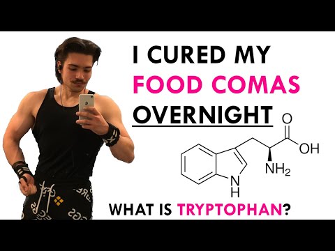 Food coma- NEVER again 5 Fixes