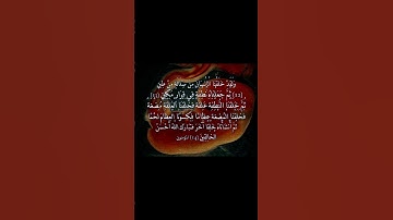 سورة  المؤمنون. الآية 12-14 . القرآن الكريم . ماهر المعيقلي
