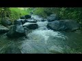 Calming River Retreat ASMR • Flowing Water Sounds for Sleep, Meditation &amp; Focus