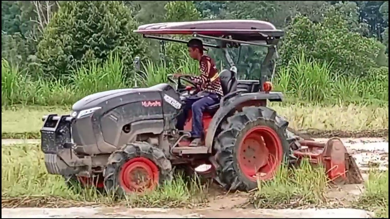 Si hitam bajak,,,,,,,,,,, sawah