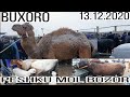 BUXORO PESHKU NAVOIKURIK MOL BOZOR .БУХОРО ПЕШКУ МОЛ БОЗОР.  13 декабря 2020 г.