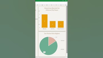 Excel’de Profesyonel İzin Takip Programı (Tüm Detaylarıyla!) 🔥