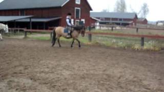 Grällsta Ridcenter Hösten 2011