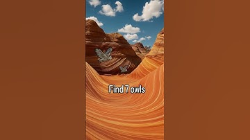 Only 1% can spot all the owls 🦉 #eyetest #reels #Viral #trending