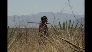 SENDEROS DEL MAGUEY-MEZCAL @MEZCAL @MAGUEY @OAXACA @MÉXICO @CULTURADELMEZCAL