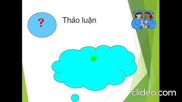 (Tuần 6) TNXH: Hoạt động bài tiết nước tiểu và vệ sinh cơ quan bài tiết nước tiểu.