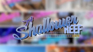 A Shallower Reef - Indepth