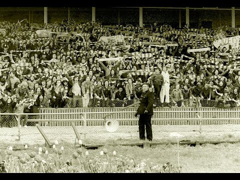 Football Hooligans - Bristol Rovers v Southampton - 1978 - YouTube