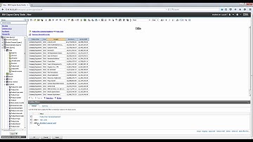 IBM Cognos Query Studio Training - Filtering Lists 1-8 || Cresco International