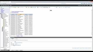 IBM Cognos Query Studio Training - Filtering Lists 1-8 || Cresco International