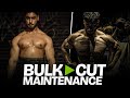 When to start cut  bulk or maintenance  with some inside knowledge 