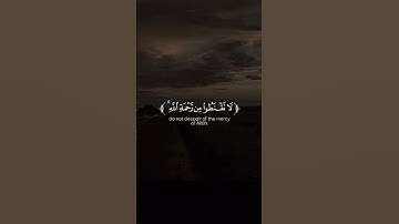 تلاوة خاشعة ||" رحمة الله لا حدود لها " سورة الزمر  | الآية 53