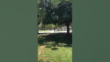اسلام صبحي اواخر سورة المؤمنين #راحة_نفسية