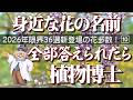 新登場の花多数!2026年限界36種【身近な花の名前】全部答えられたら「植物博士」!全てオリジナル動画で、昨年の動画は一切使用していません。何問正解したかコメントしてね。〈2026年版⑩〉