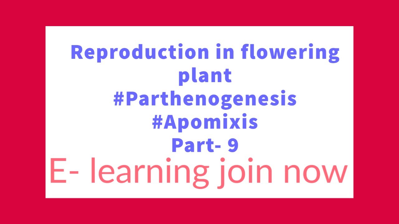 Parthenocarpy & Apomixis Dormancy of seed Reproduction in flowering plants parthenocarpy