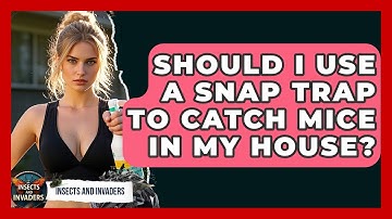 Should I Use A Snap Trap To Catch Mice In My House? - Insects and Invaders