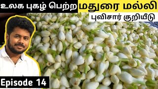 World Famous 'மதுரை மல்லி' || Madurai Malli || Puvisaar Payanam EP-14 || Chennai Vlogger Deepan