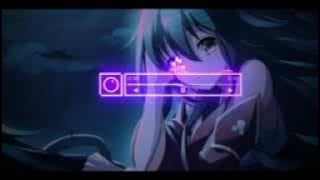 DJ HAM NAVA MERE REMIX