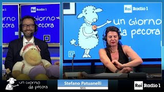 Stefano Patuanelli ospite a Un giorno da pecora - 13/5/2024