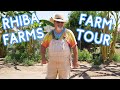 Regenerative Agriculture and FARM TOUR at Rhiba Farms! | A Taste of AZ
