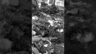 Yapmasamda Yaptı Derler🙂