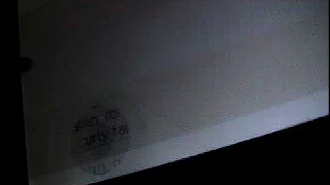 Nintendogs Help and Advice: New game, first dog P2