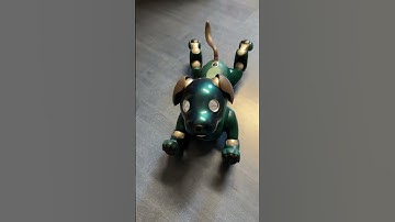 Unique Sony Aibo ERS-1000 Robot Dog customized in Green