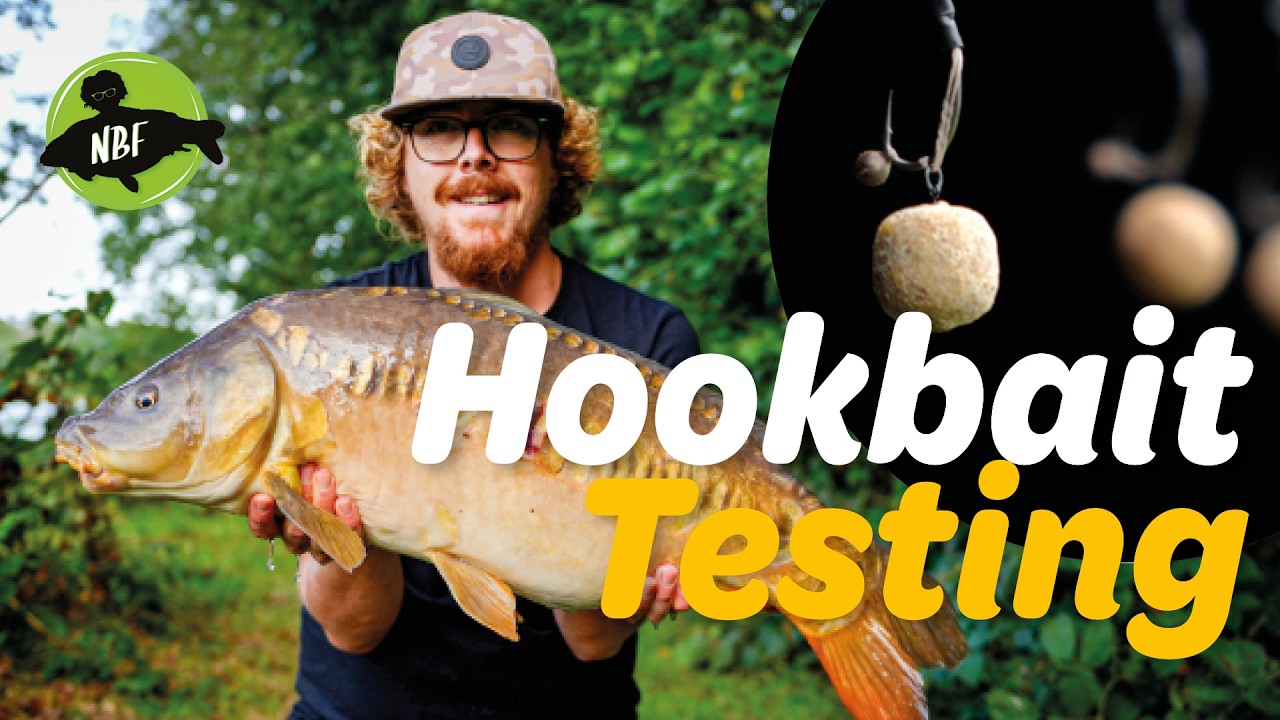 3 Hookbaits, ONE Spot: Testing Bottom Baits, Wafters & Pop-Ups!