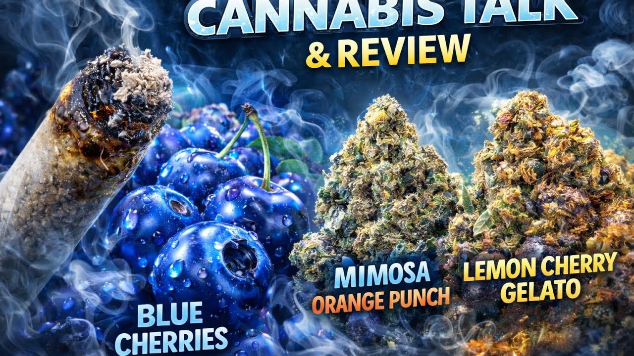 Cannabis Talk & Review | Blue Cherries + Old School Genetics Discussion