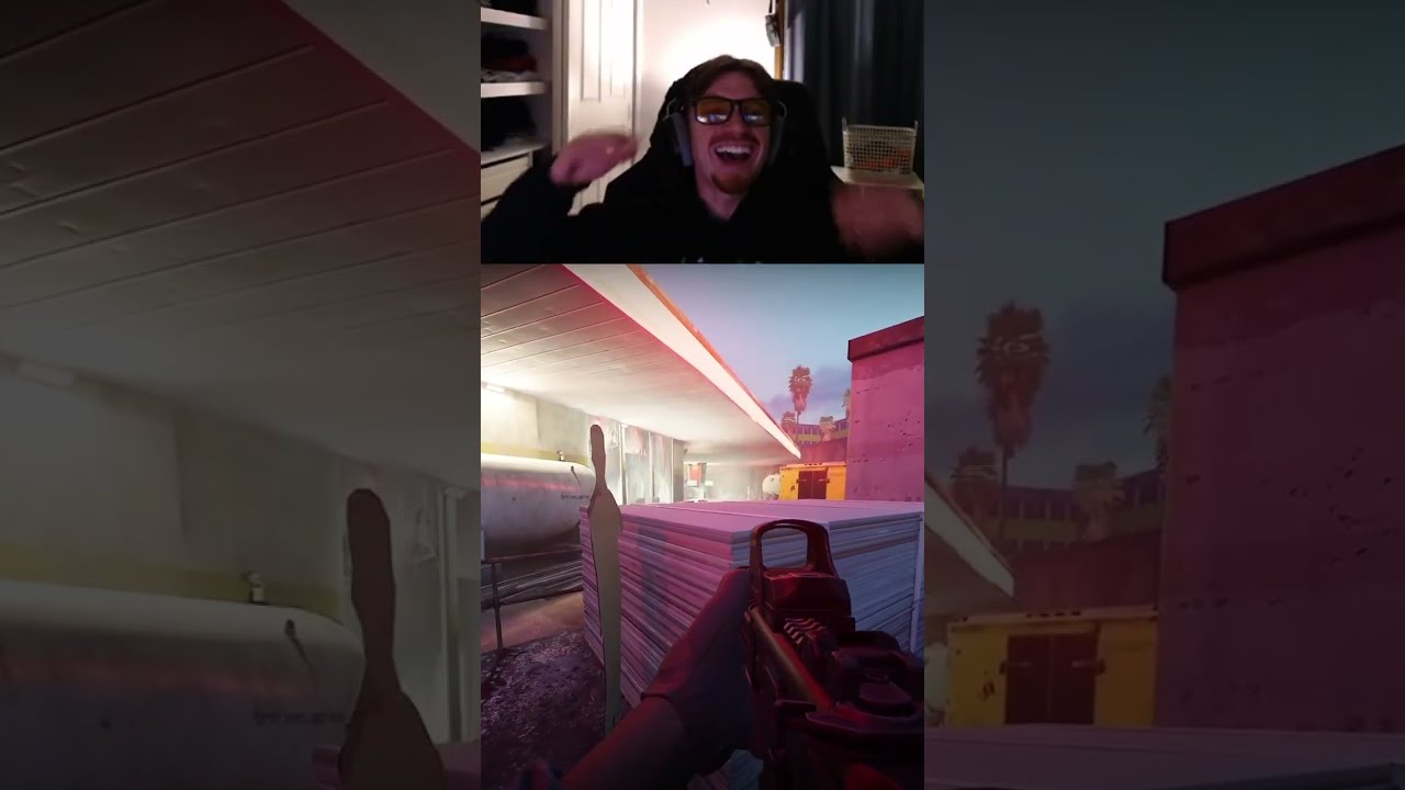 I Was Just Pretending Zylonau On Twitch