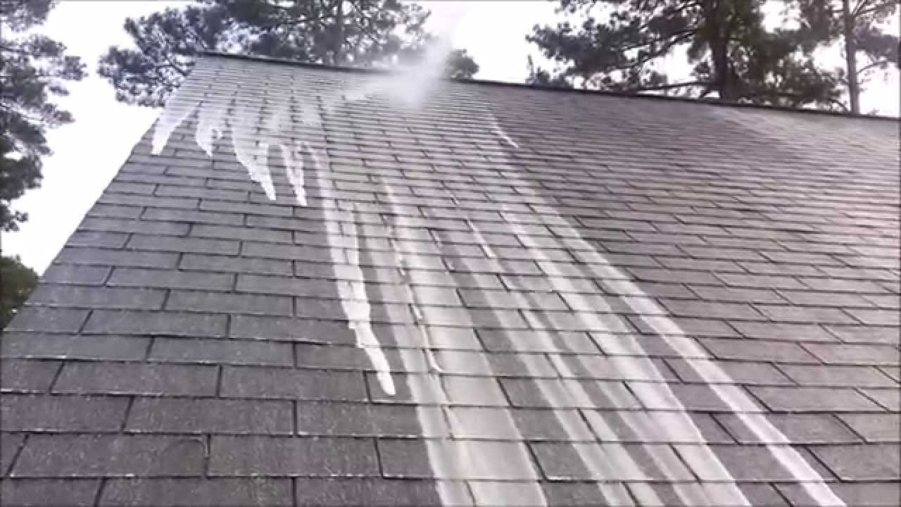 Removing Algae From Asphalt Roof | Non Pressure Roof Cleaning | Clean Pro  Exteriors - YouTube