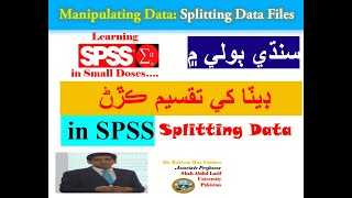 Manipulating Data: Splitting Data Files in SPSS (سنڌي ٻولي ۾)