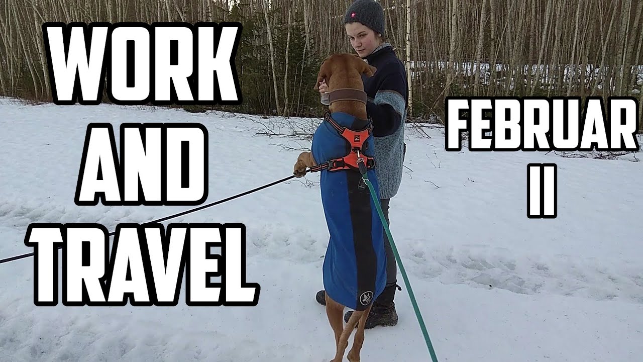 work and travel in norwegen