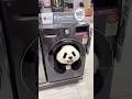 LG washing machine fun for kids