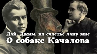 видео: Есенин, Джим и Качалов. Стихи и проза жизни. Рассказы кокер-спаниеля Фрейи /Уроки/ Истории на ночь / картинка: Есенин, Джим и Качалов. Стихи и проза жизни. Рассказы кокер-спаниеля Фрейи /Уроки/ Истории на ночь /